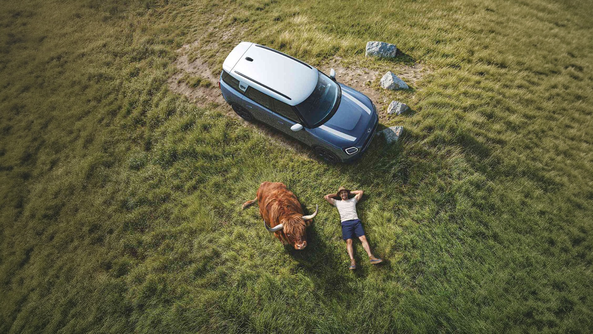 MINI Service with Proactive Care – man relaxing on a hill near his MINI Countryman S ALL4 with a Highland Bull for company.